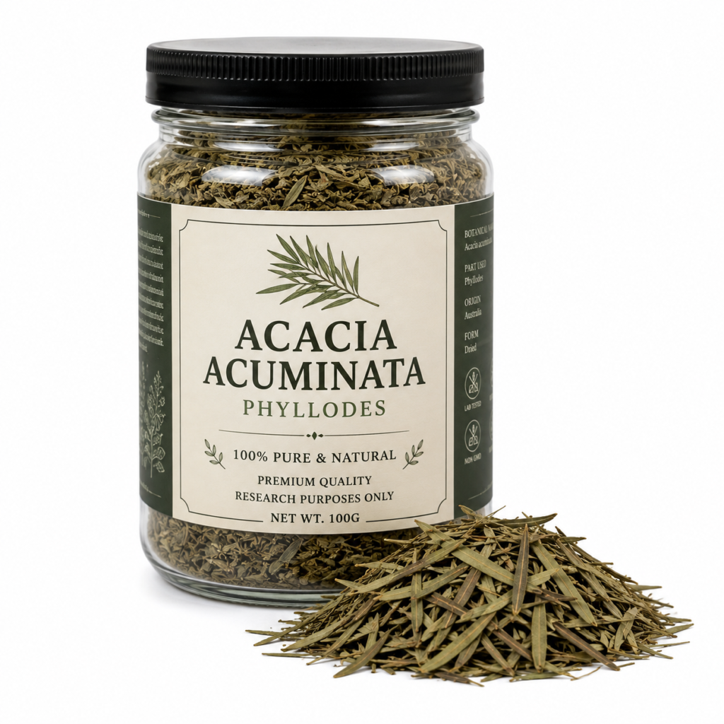 Acacia acuminata phyllodes