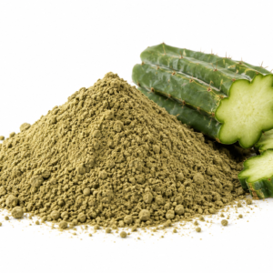 San Pedro cactus powder