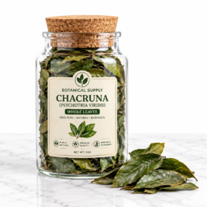 Chacruna (Psychotria viridis) Whole